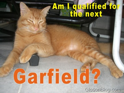 orange-garfield